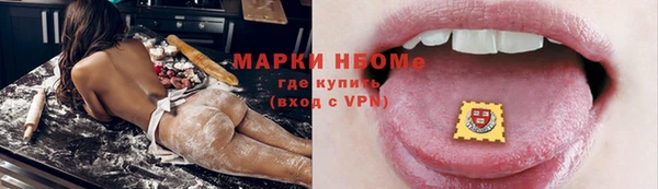 твердый Горняк