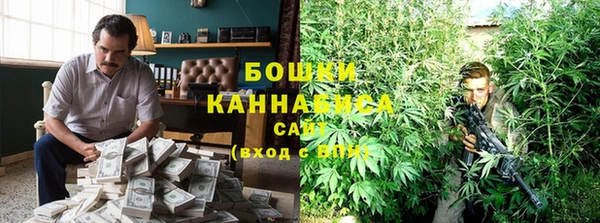 молекула духа Горно-Алтайск
