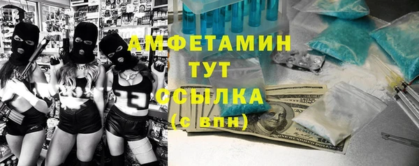 твердый Горняк