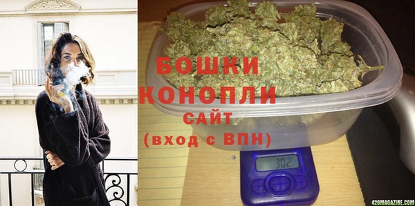 твердый Горняк