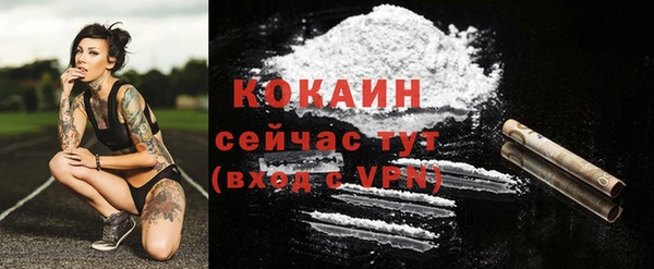молекула духа Горно-Алтайск