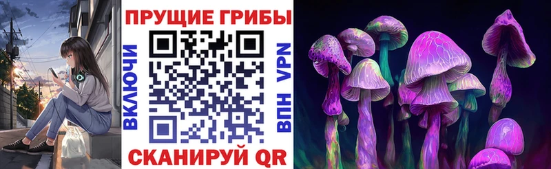 Купить где  Макушино  Галлюциногенные грибы Cubensis 